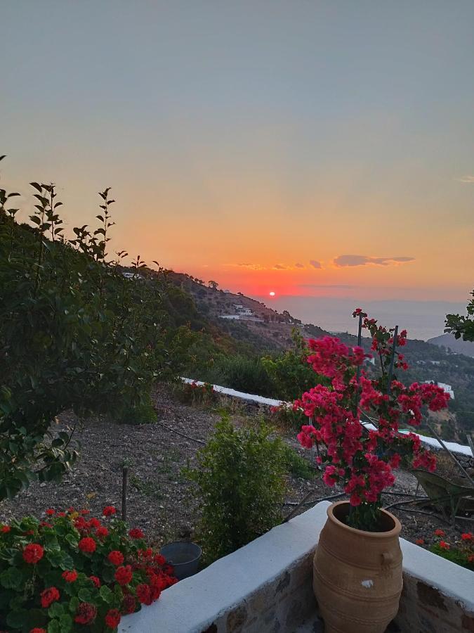 Traditional Studio Chora Patmos ภายนอก รูปภาพ